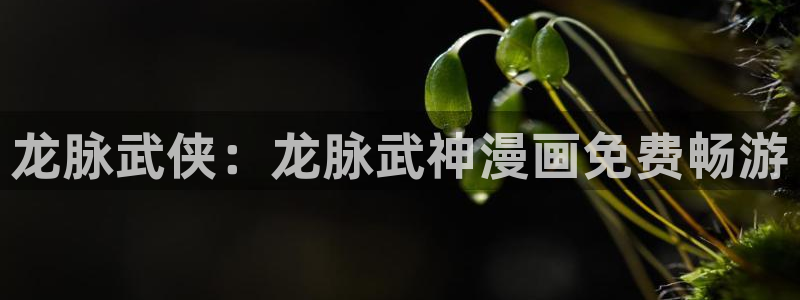 可以免费看韩漫