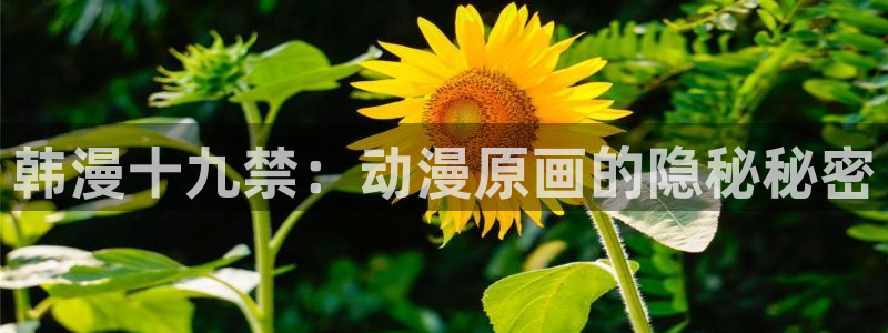 韩漫免费看歪歪