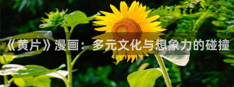 韩漫网站大全：《黄片》漫画：多元文化与想象力的碰撞