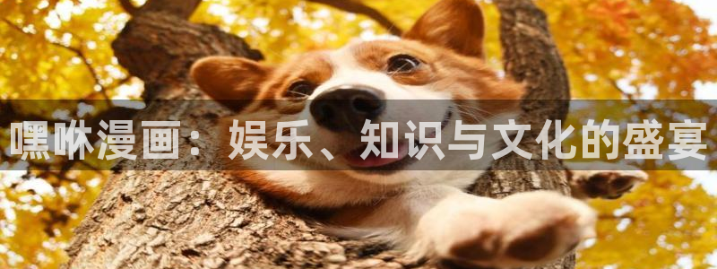 韩漫画网站漫画