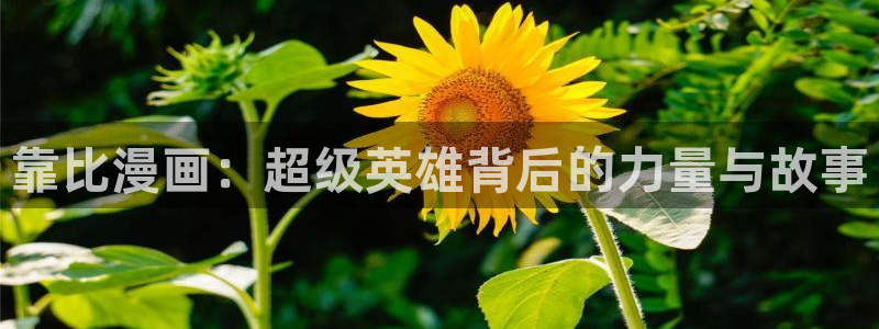 土豪韩漫在线免费观看