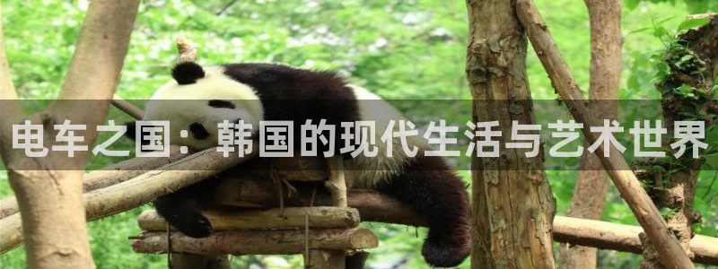 歪歪羞羞韩漫