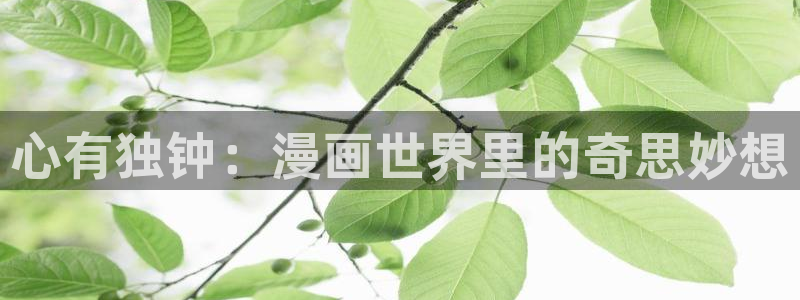 外网韩漫网站