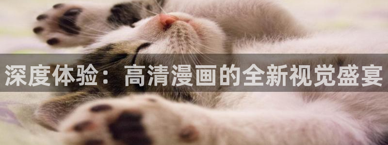 韩漫免费看无遮挡：深度体验：高清漫画的全新视觉盛宴