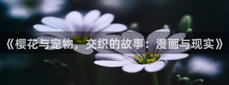 免费韩漫视频