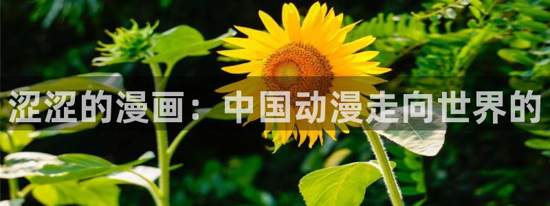 在线观看韩漫