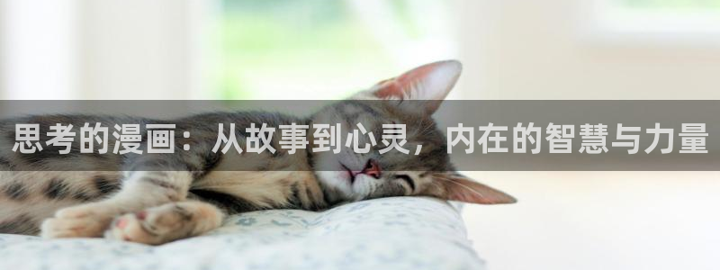 好看的韩漫免费观看在线观看全集