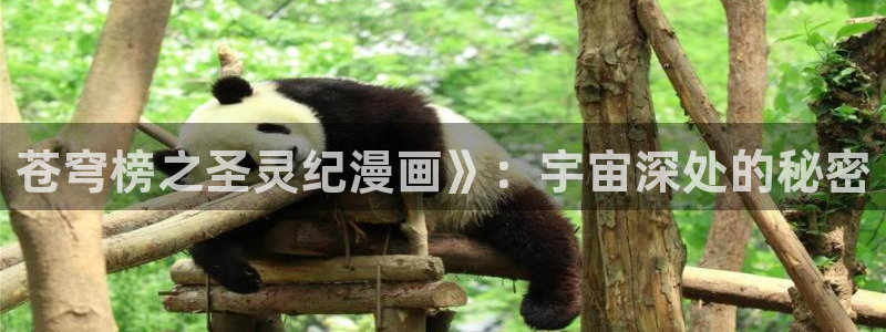 h韩漫网址