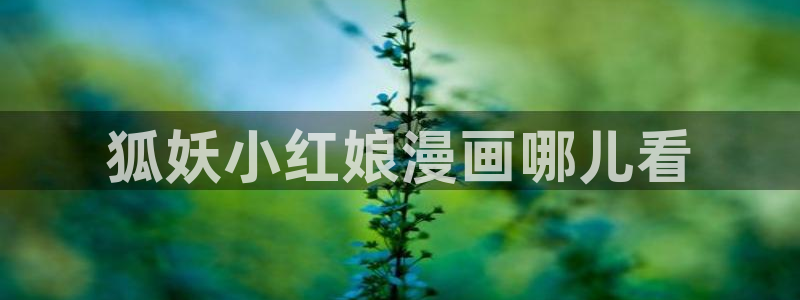 免费看韩漫的平台：狐妖小红娘漫画哪儿看