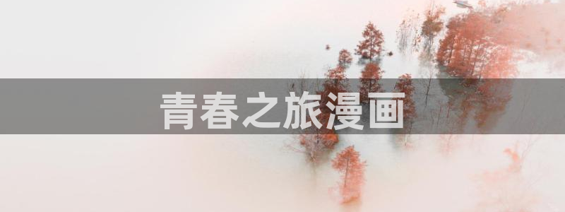 掠夺行动韩漫在线观看