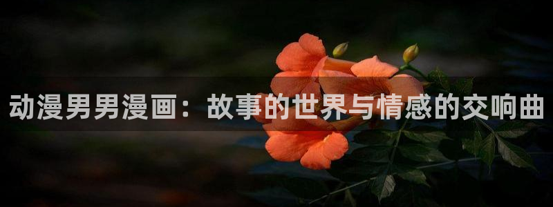 看韩漫网页