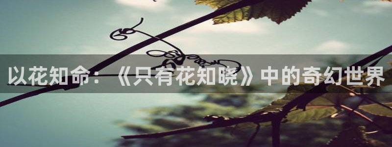 韩漫免费网站羞嘿嘿漫画
