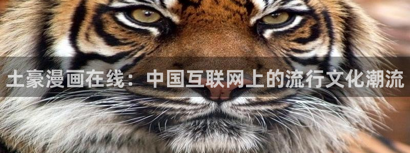 3d韩漫免费漫画在线看