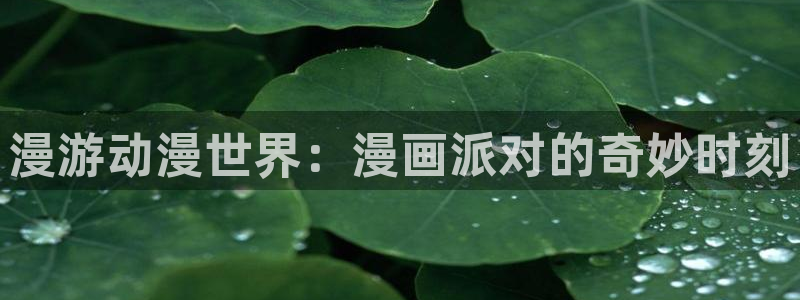 韩漫免费网站地址：漫游动漫世界：漫画派对的奇妙时刻