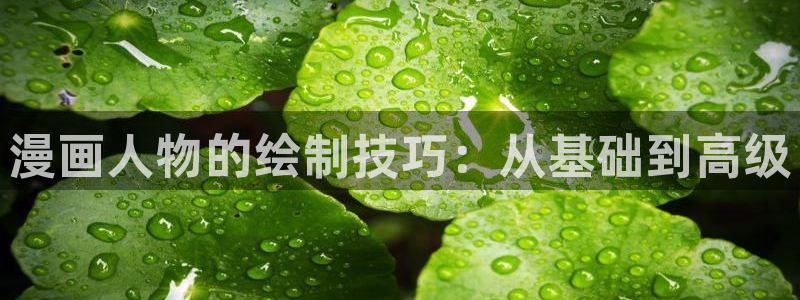 韩漫漫画画免费画漫画大全下拉式 软件：漫画人物的绘制技巧：从基础到高级