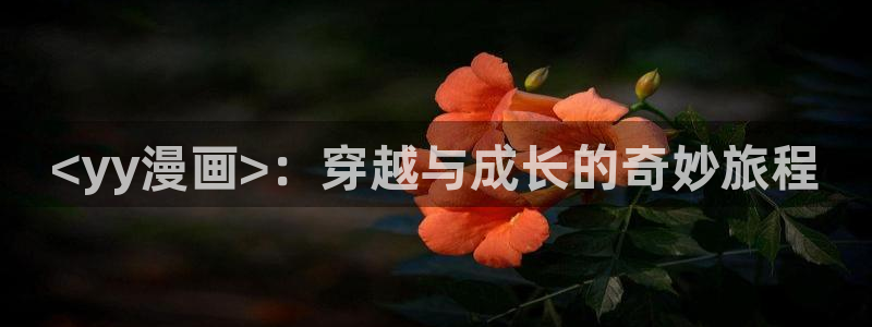 韩漫双男主亲密缠绕的动漫：<yy漫画>：穿越与成长的奇妙旅程