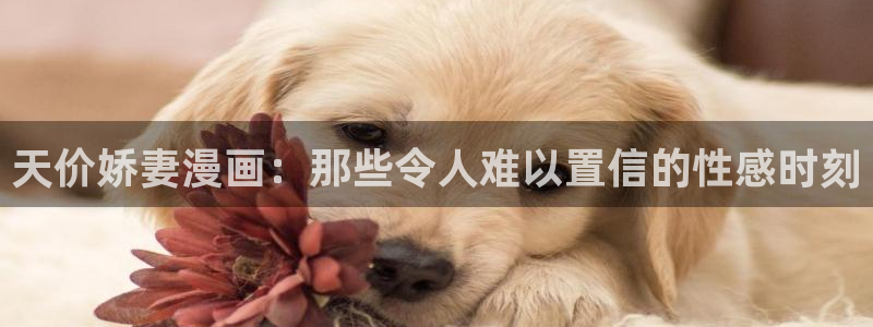 免费在线阅读日漫韩漫：天价娇妻漫画：那些令人难以置信的性感时刻