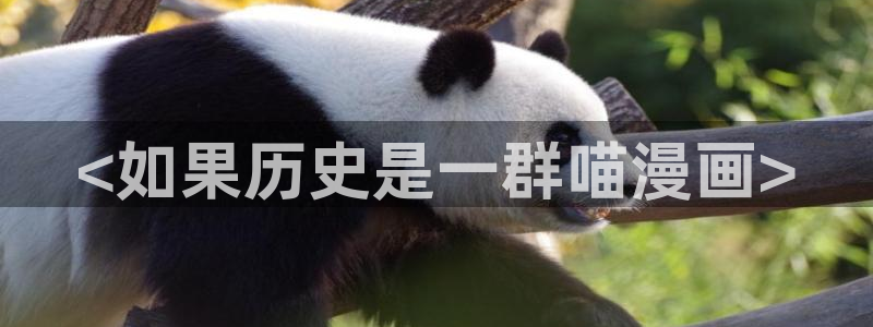 韩漫动画免费看