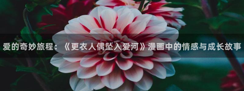 韩漫网站色