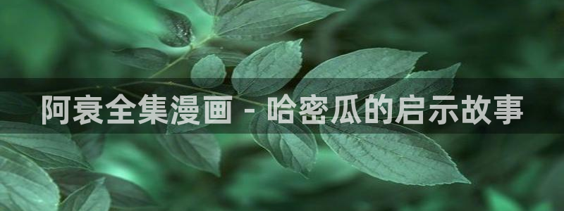 韩漫画在线看免费入口：阿衰全集漫画 - 哈密瓜的启示故事