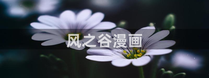 韩漫网站无删减漫画